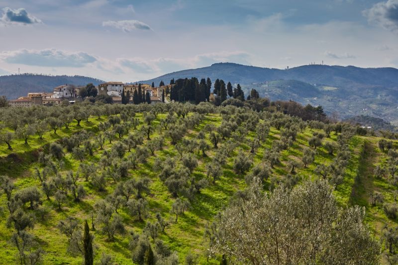 Panorama de Artimino, Toscana.