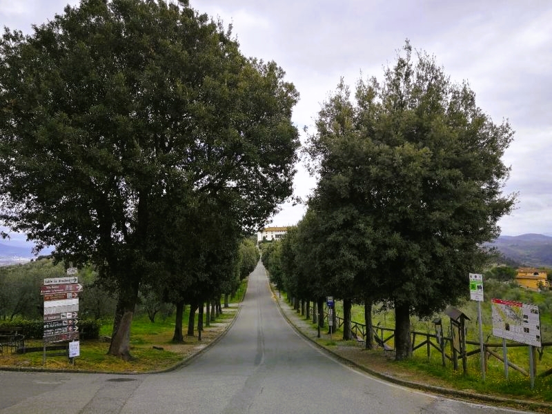 Avenida desde el arco de entrada a Artimino hasta Villa La Ferdinanda
