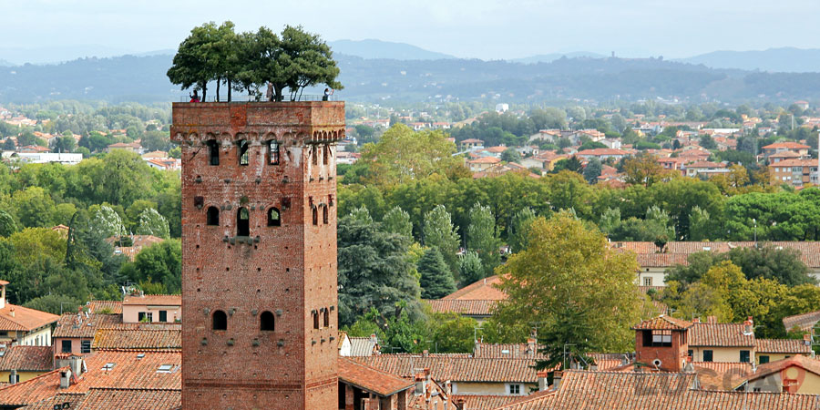 Torre Guinigi en Lucca.